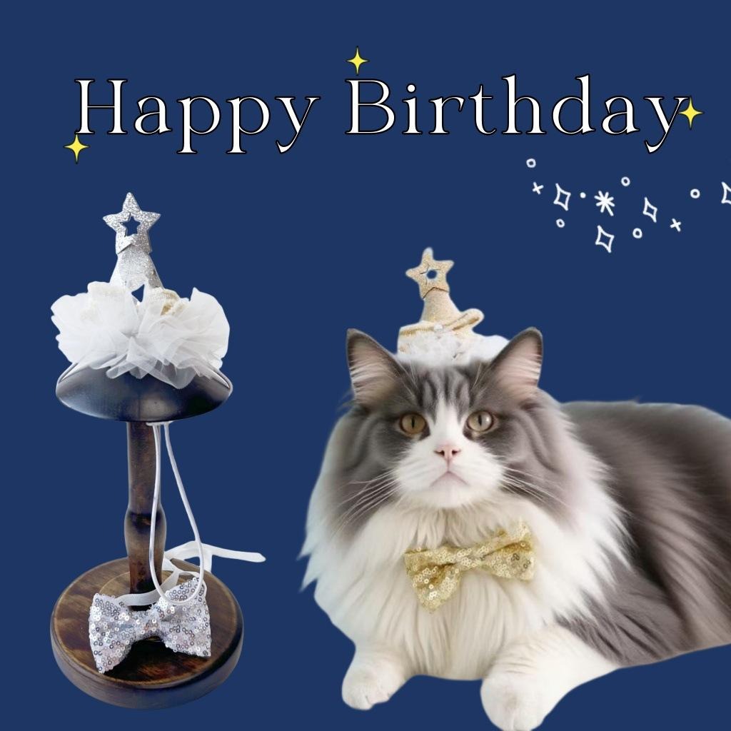 Pet Birthday Star Hat & Sequin Bow Set