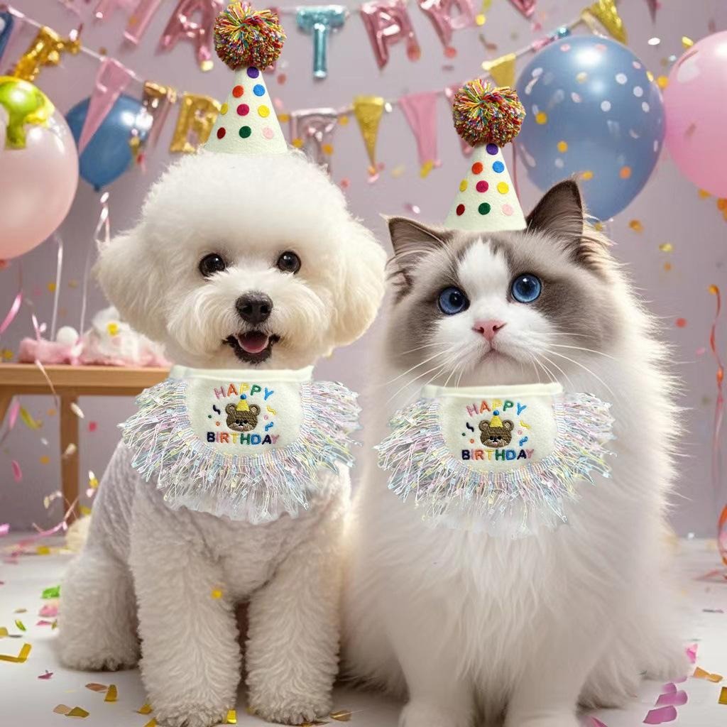Pet Birthday Hat & Tassel Bib Set