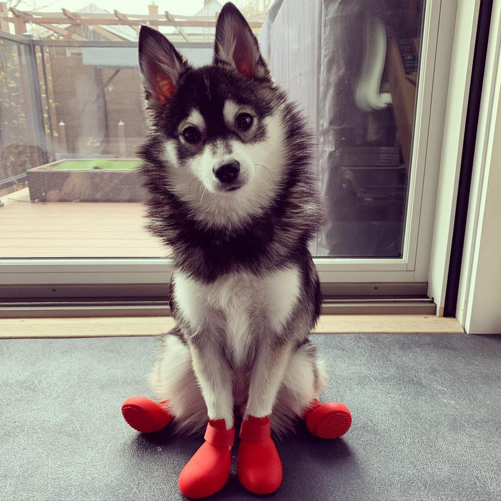 Waterproof Rubber Dog Boots