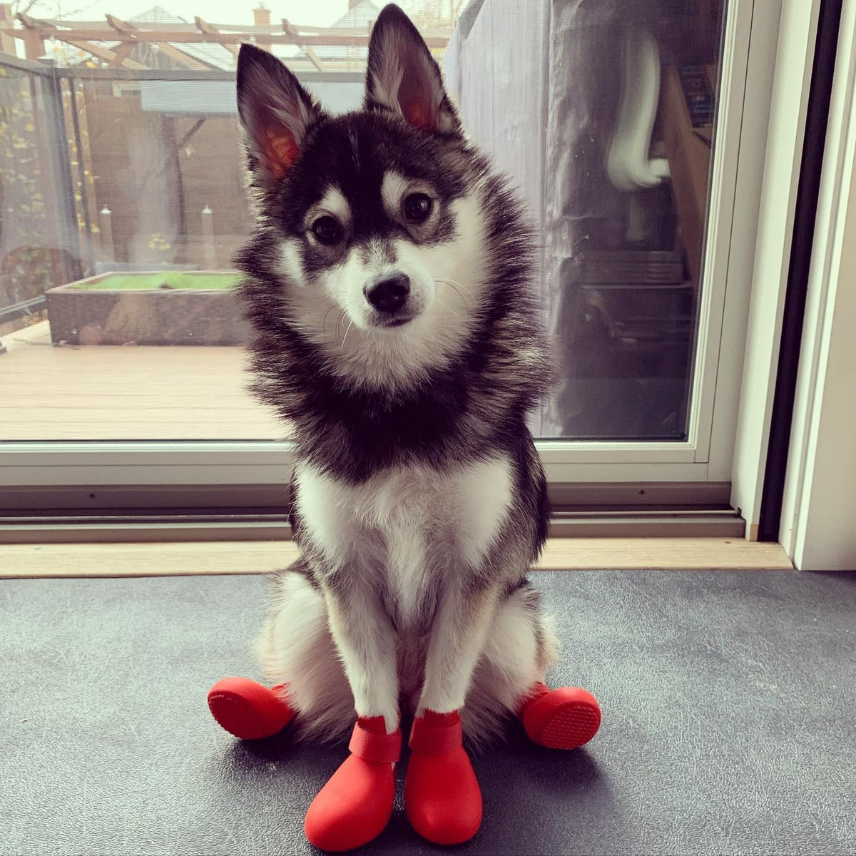 Waterproof Rubber Dog Boots