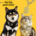 Pet Dollar Sign Gold Chain Necklace