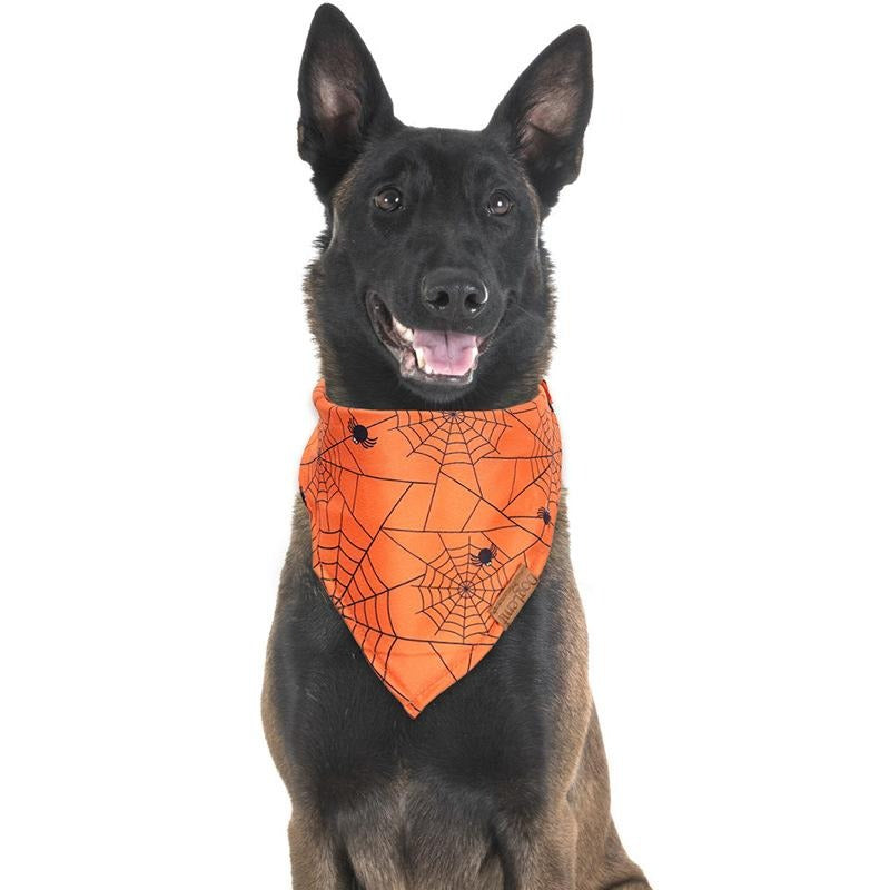 Pet Bandana