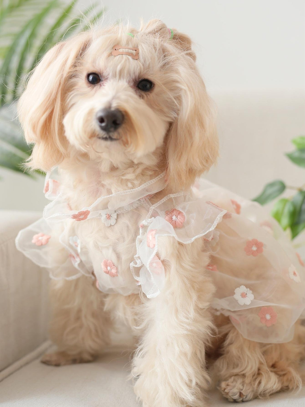 Pet Floral Mesh Dress