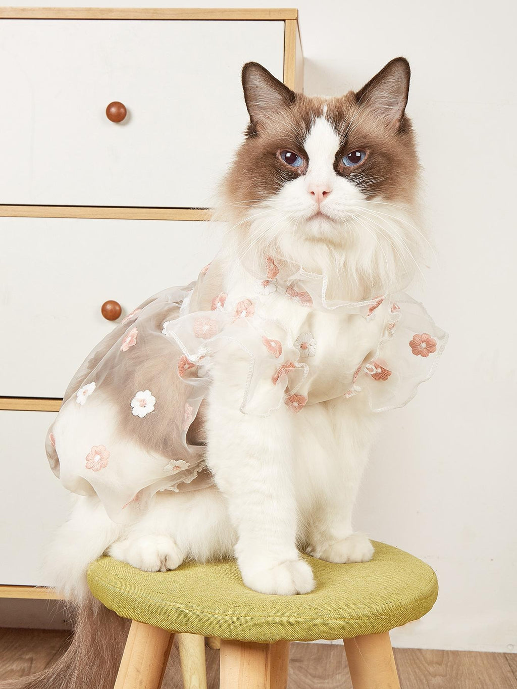 Pet Floral Mesh Dress
