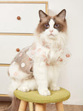 Pet Floral Mesh Dress