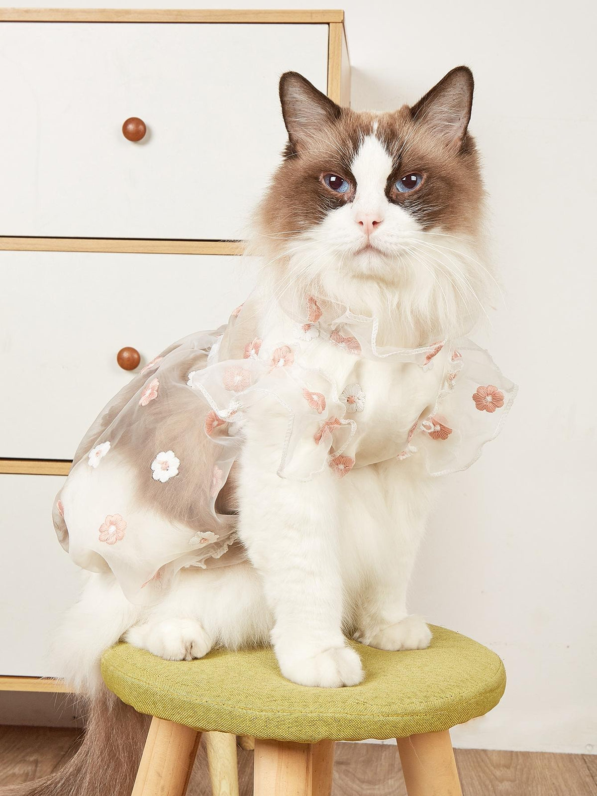 Pet Floral Mesh Dress
