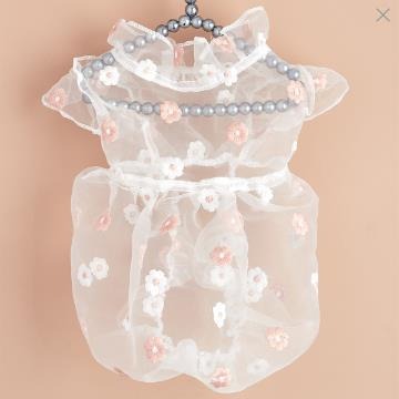 Pet Floral Mesh Dress