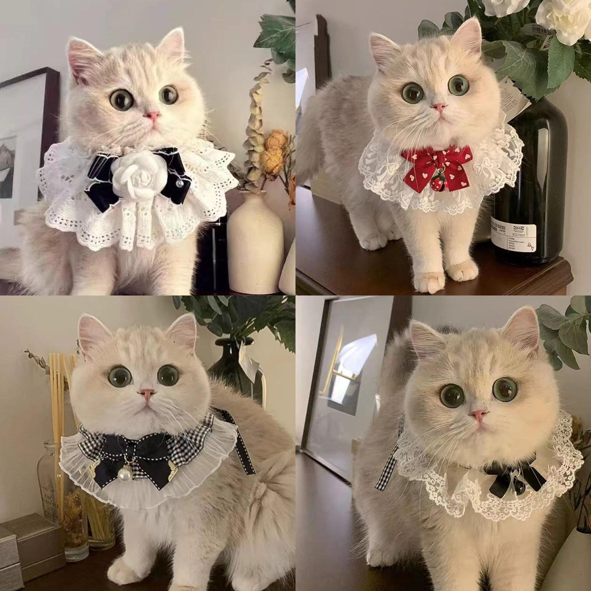 Pet Lace Collar