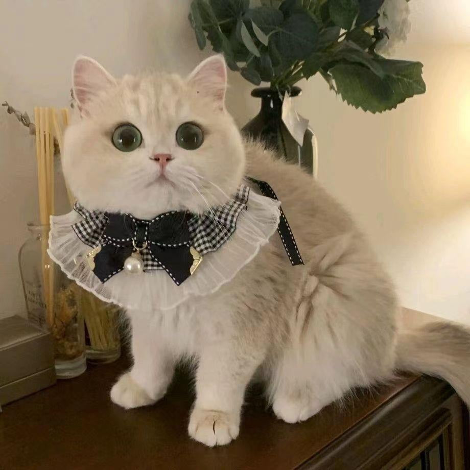 Pet Lace Collar