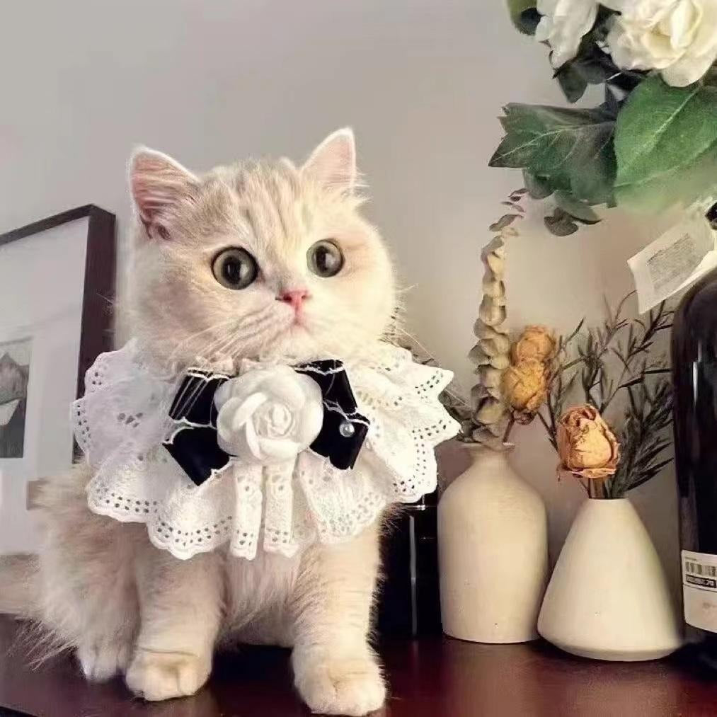 Pet Lace Collar