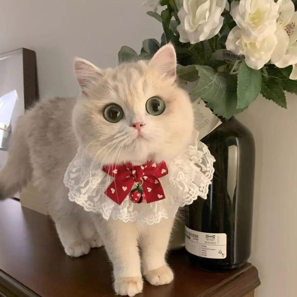 Pet Lace Collar