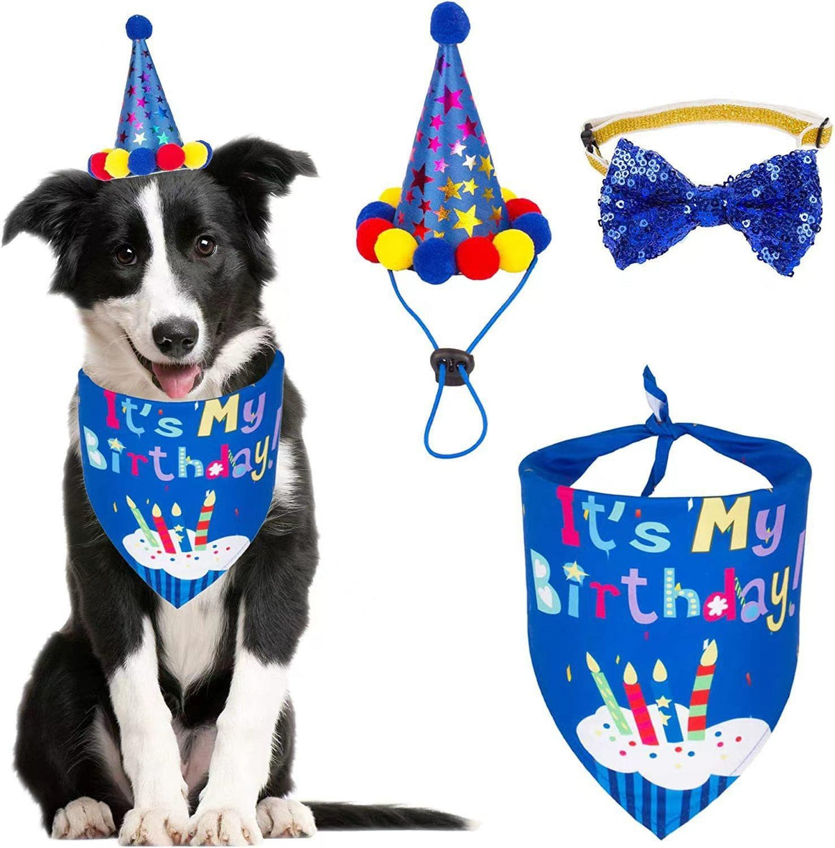 Birthday Pet Bandana