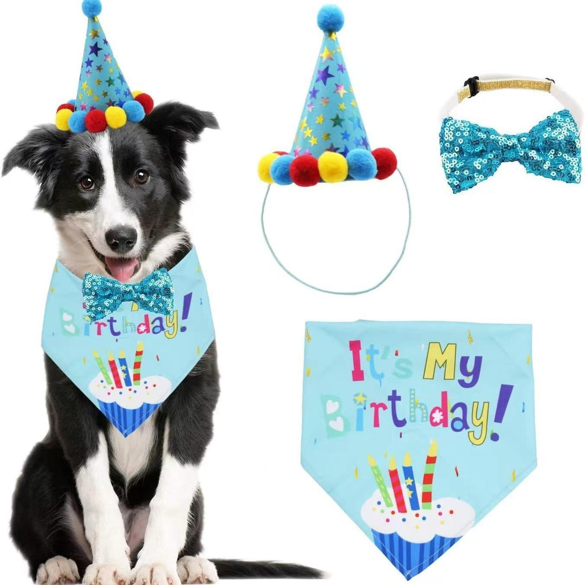 Birthday Pet Bandana