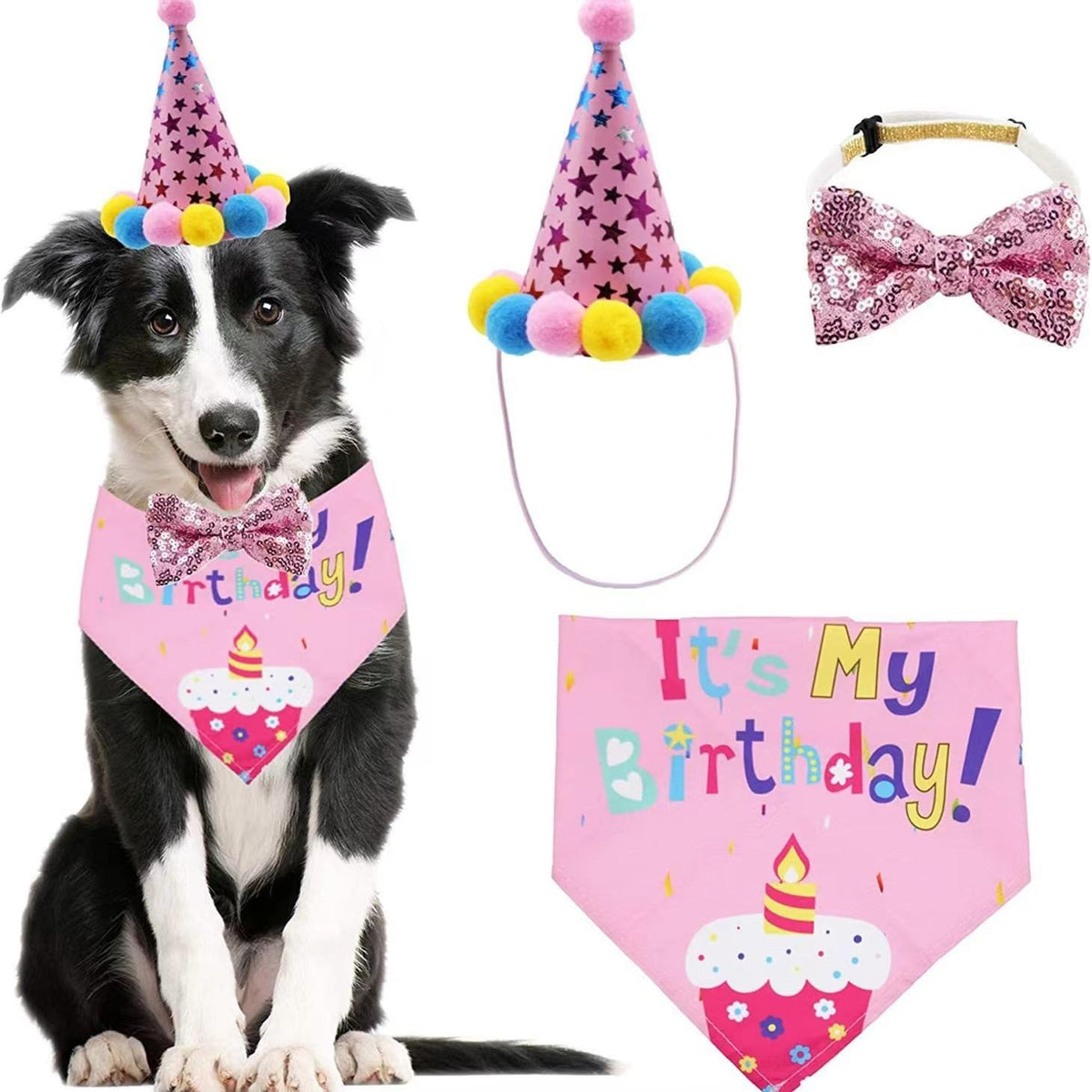 Birthday Pet Bandana
