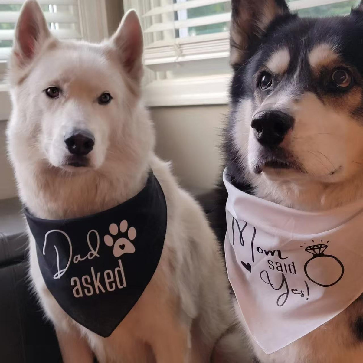 Wedding Pet Bandana Set