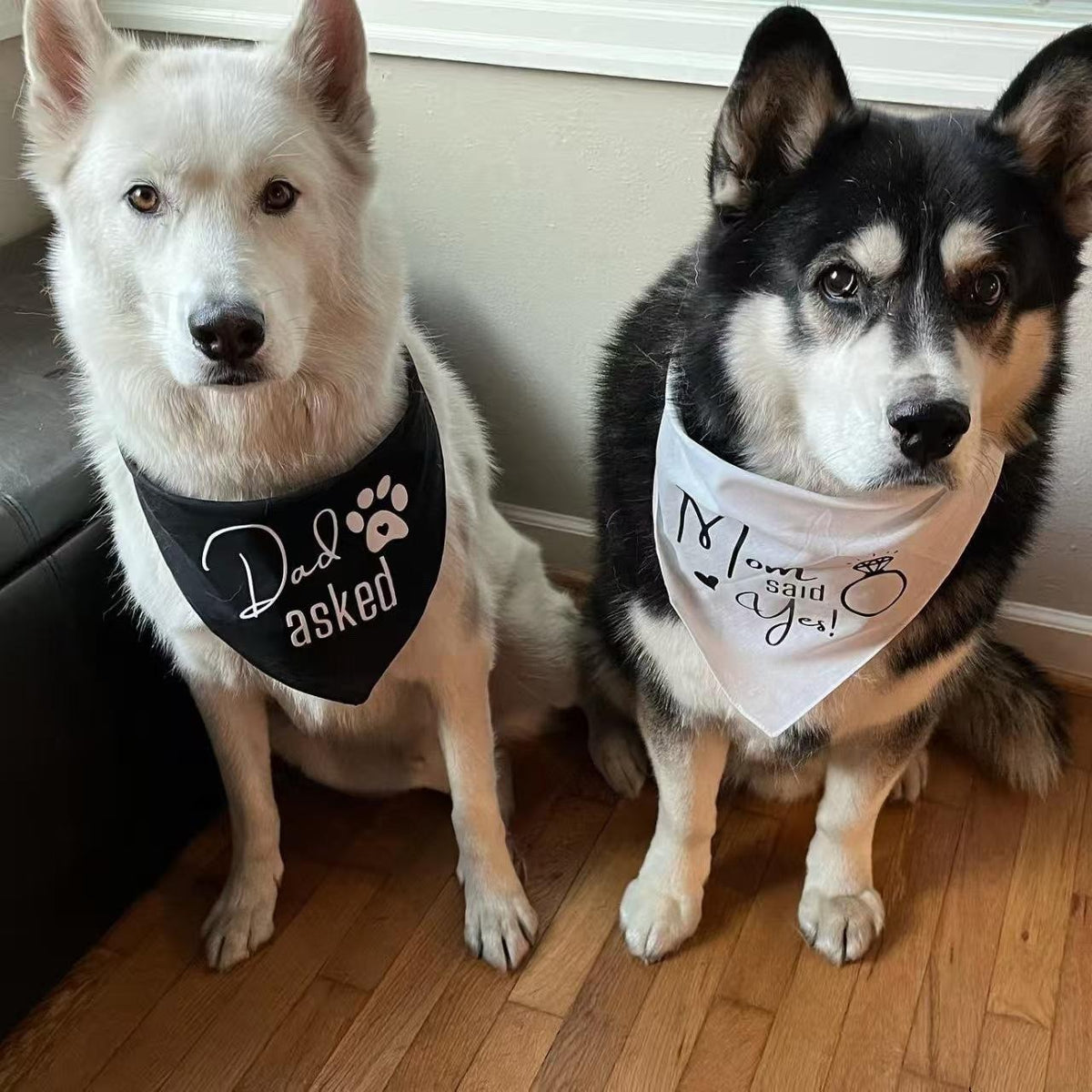 Wedding Pet Bandana Set