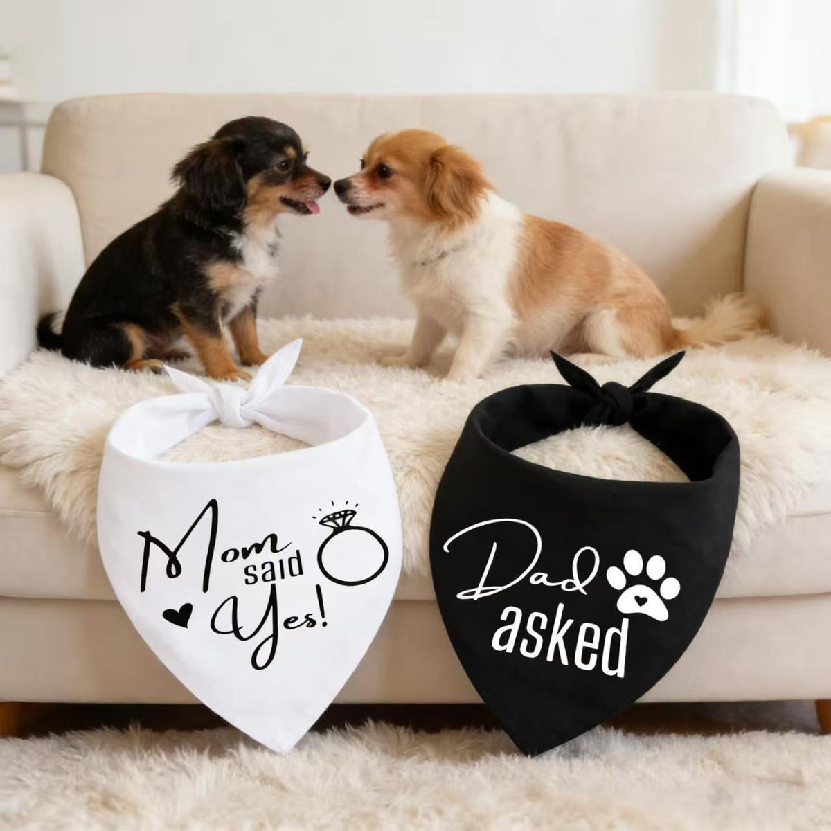 Wedding Pet Bandana Set