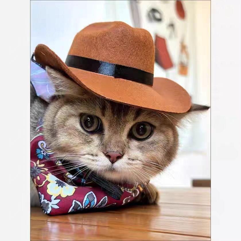 Pet Cowboy Hat & Bandana Set