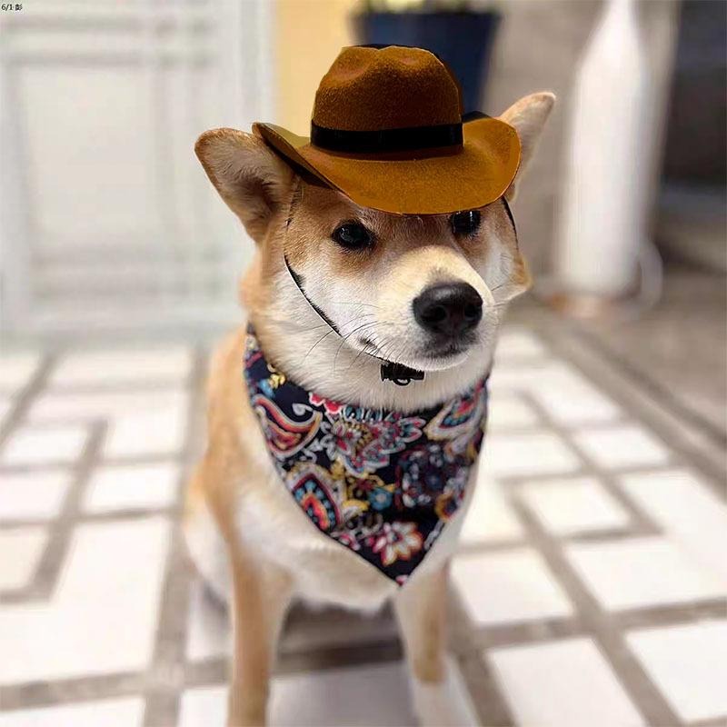 Pet Cowboy Hat & Bandana Set