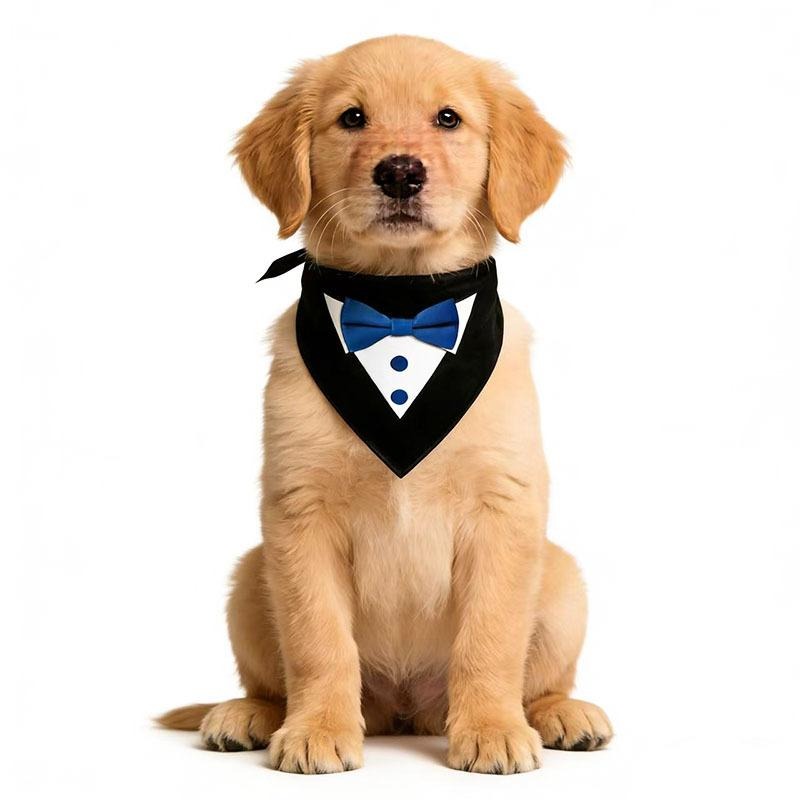 Pet Tuxedo Bandana