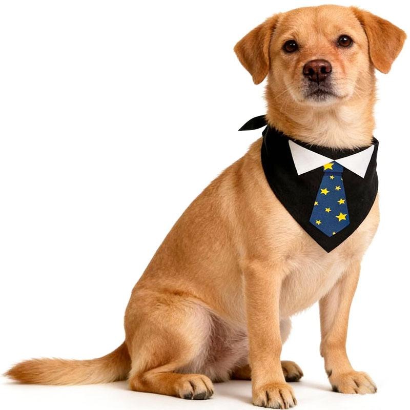 Pet Tuxedo Bandana