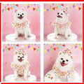 Pet Birthday Hat & Collar Set