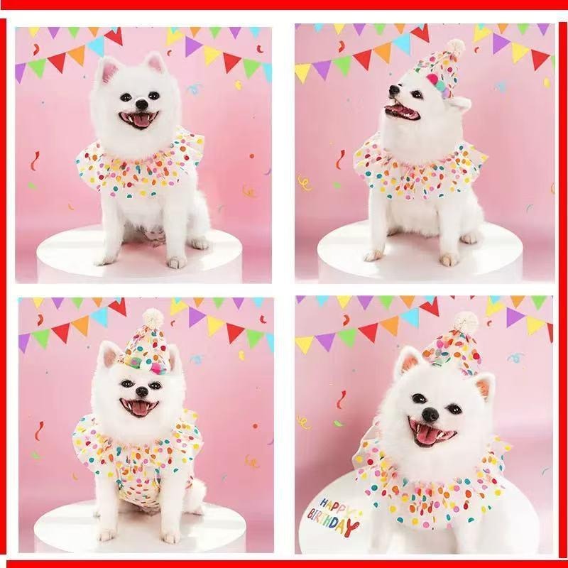 Pet Birthday Hat & Collar Set