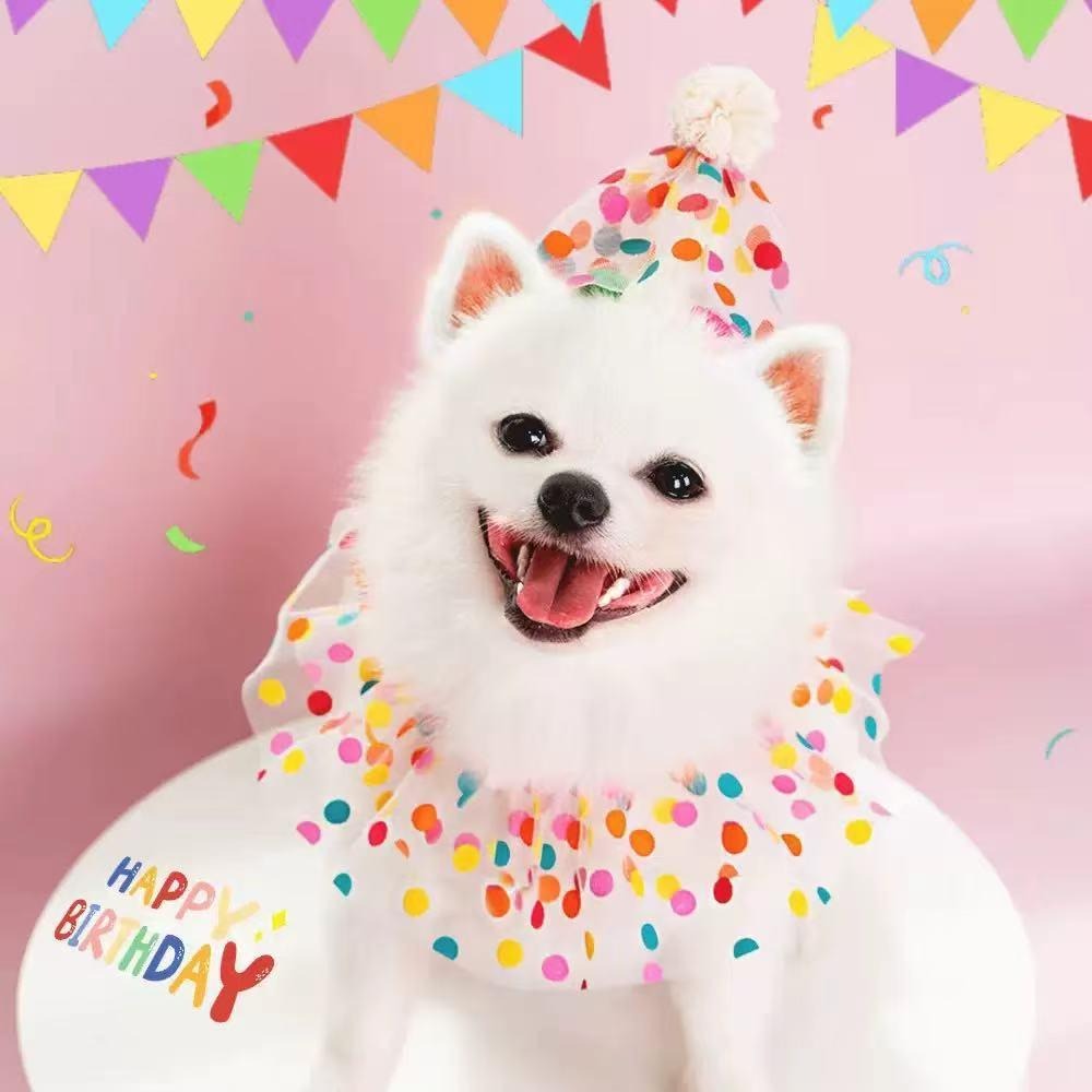 Pet Birthday Hat & Collar Set