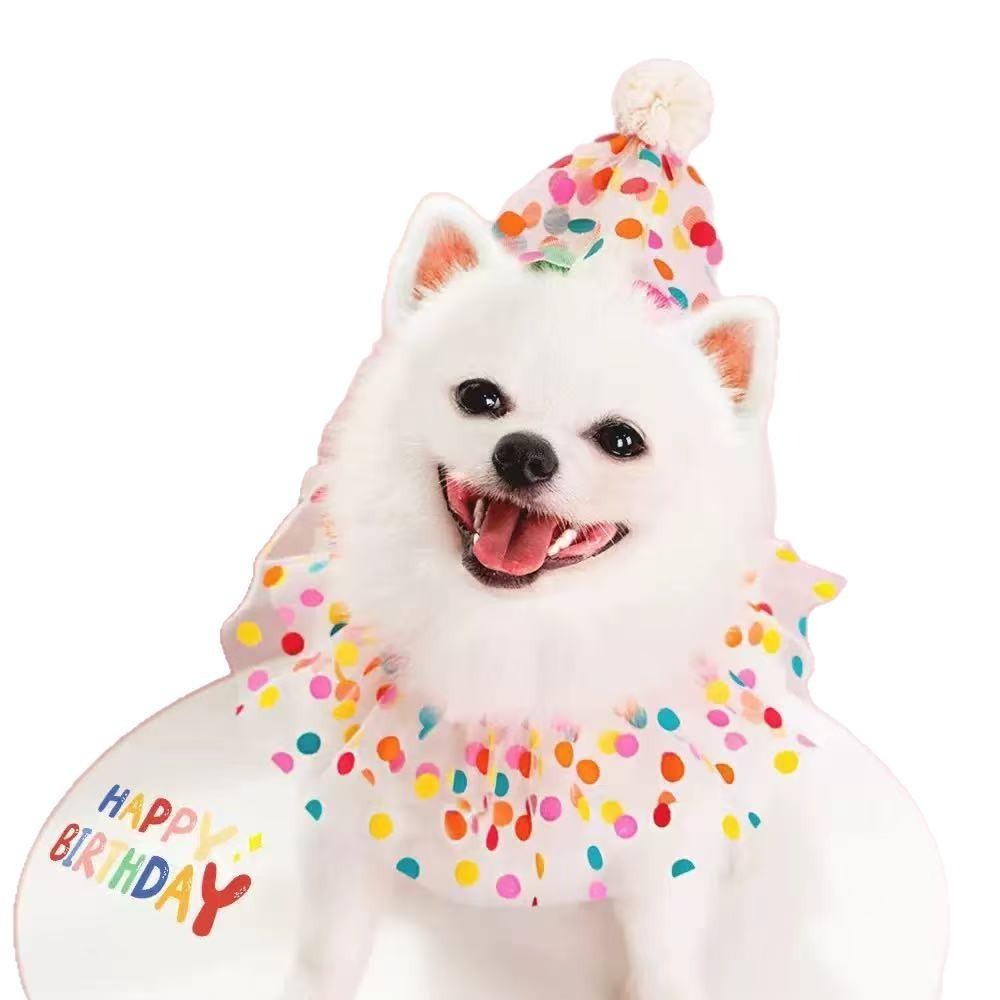 Pet Birthday Hat & Collar Set