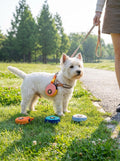 Pet Mini Walking Pouch