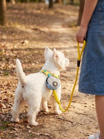 Pet Mini Walking Pouch