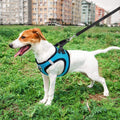 Breathable Mesh Dog Harness & Leash Set