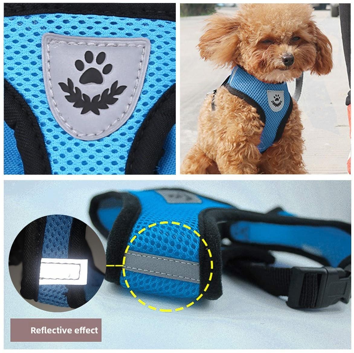 Breathable Mesh Dog Harness & Leash Set