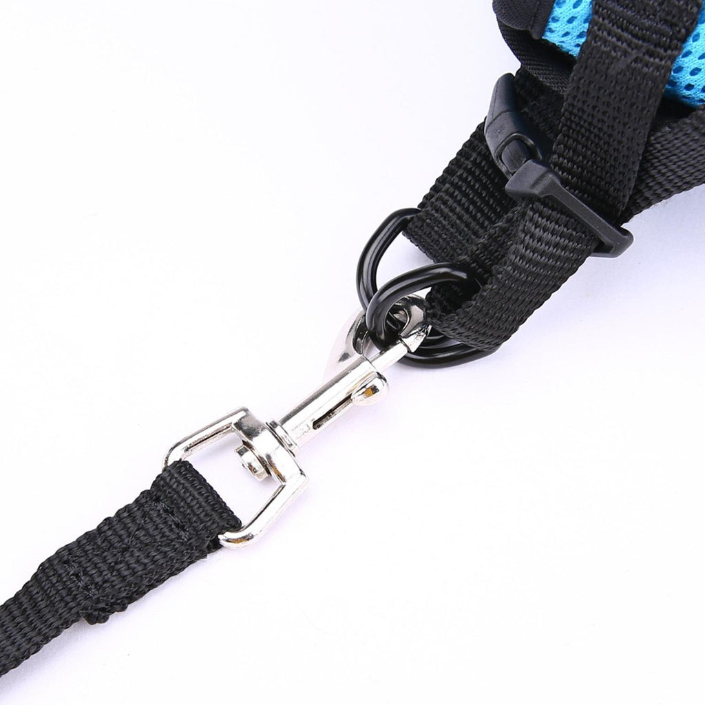 Breathable Mesh Dog Harness & Leash Set