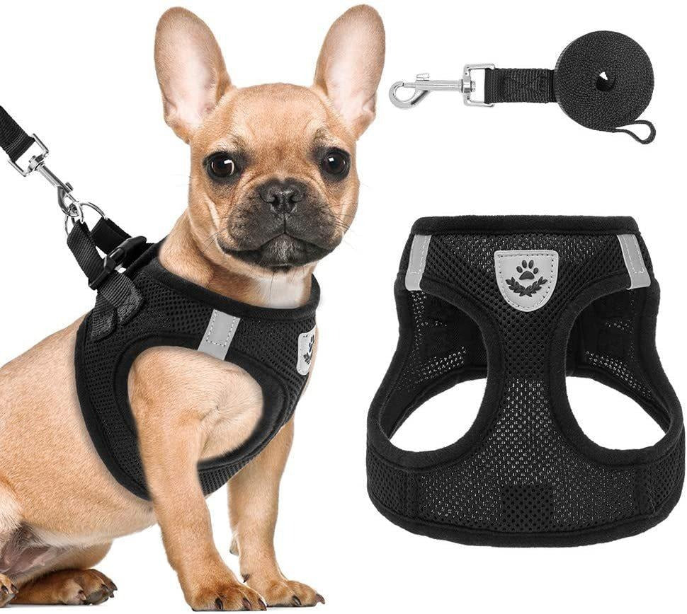 Breathable Mesh Dog Harness & Leash Set