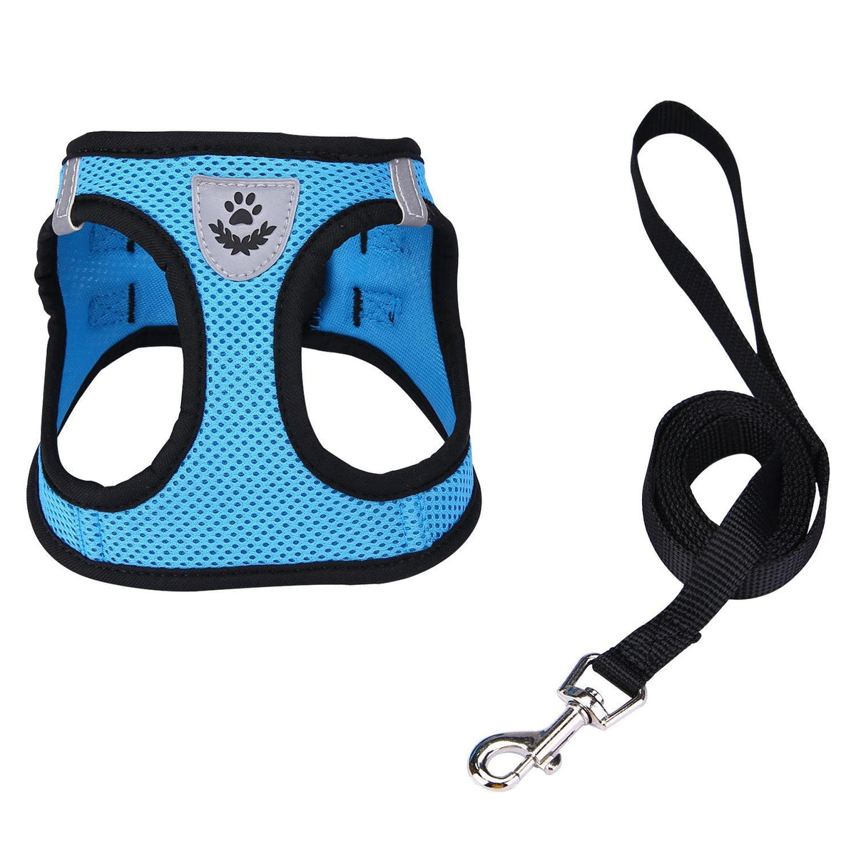 Breathable Mesh Dog Harness & Leash Set