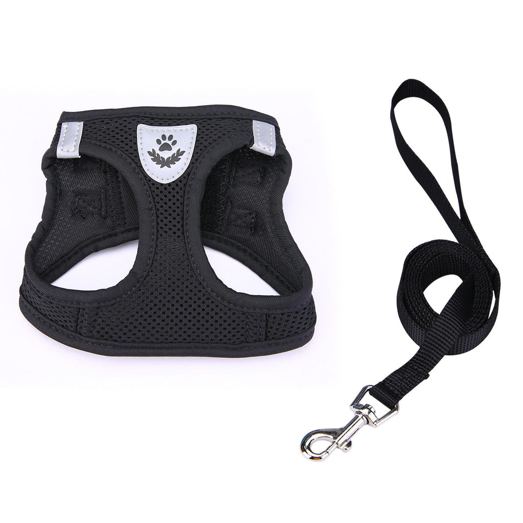 Breathable Mesh Dog Harness & Leash Set
