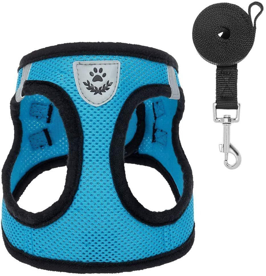 Breathable Mesh Dog Harness & Leash Set