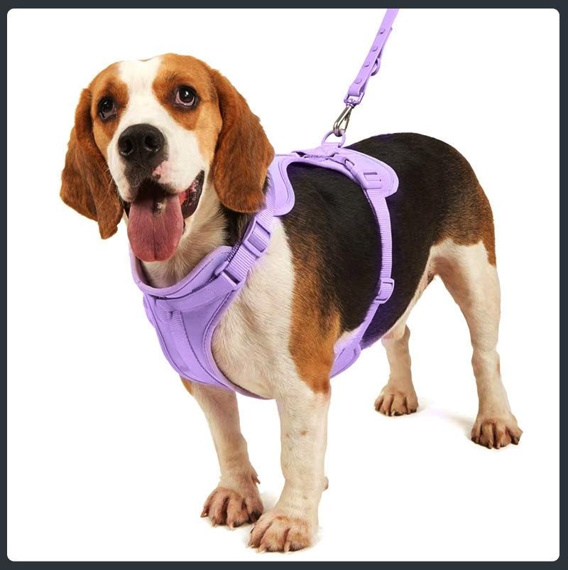 4 in 1 Dog Harness Walking Set