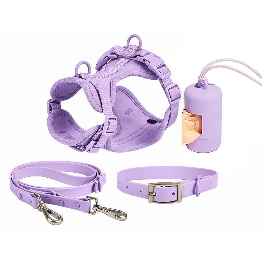 4 in 1 Dog Harness Walking Set