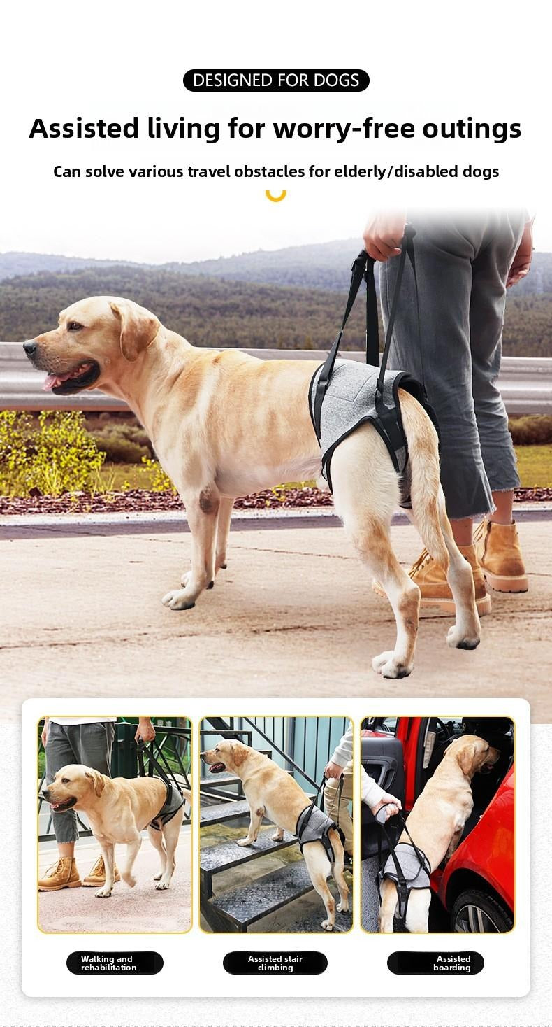 Dog Rear Leg Support Harness