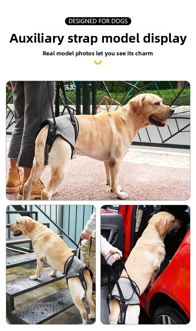 Dog Rear Leg Support Harness