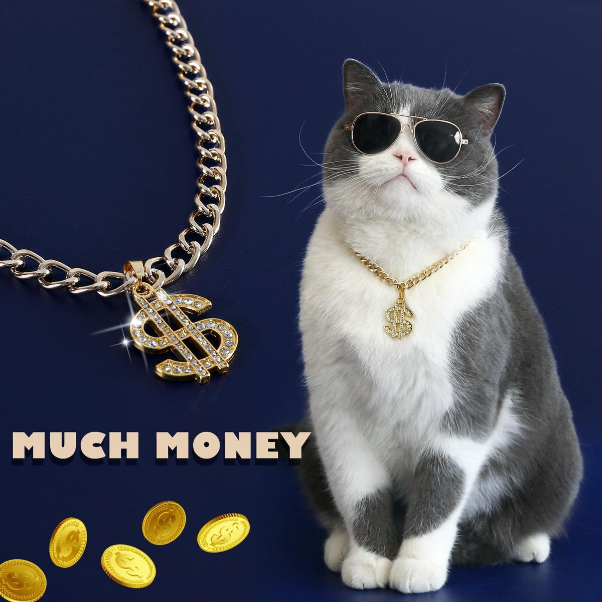 Pet Rhinestone Dollar Sign Chain Necklace