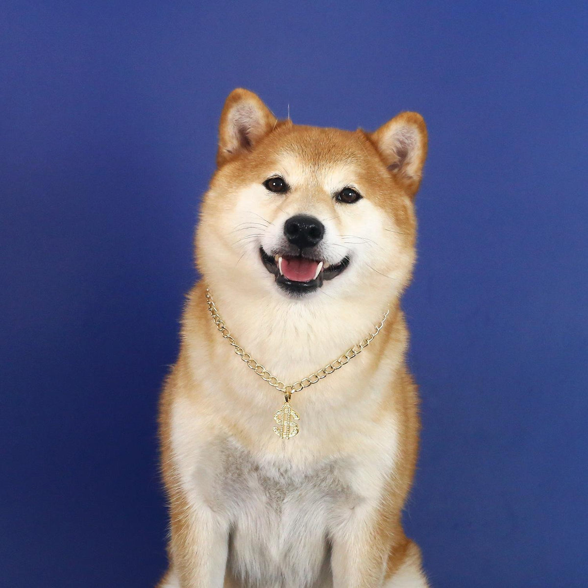 Pet Rhinestone Dollar Sign Chain Necklace