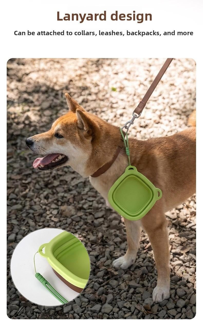 Foldable Travel Pet Bowl