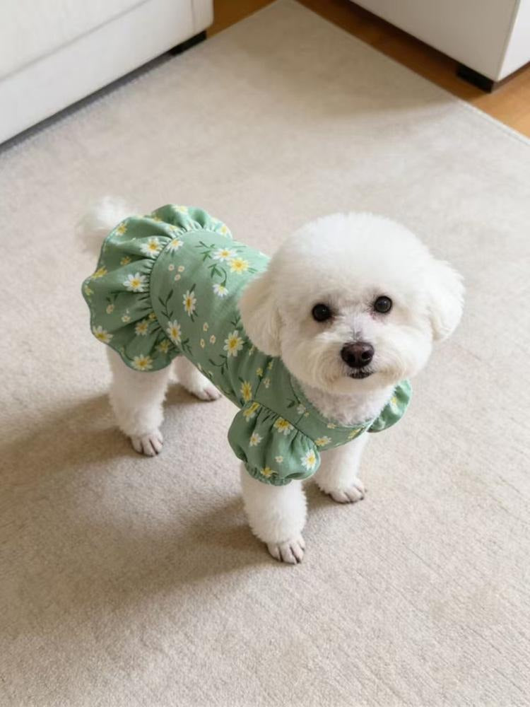 Pet Floral Bubble Skirt